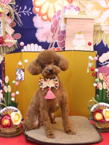 20240106カイくん